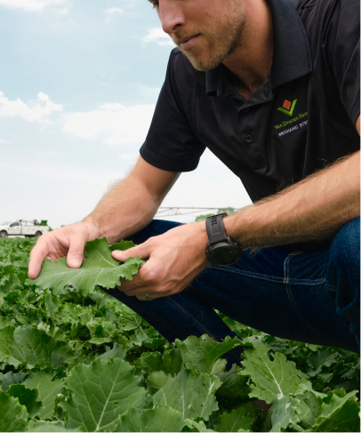 Wir arbeiten mit den besten Landwirten zusammen